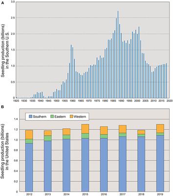 Challenges to the Reforestation Pipeline in the United States